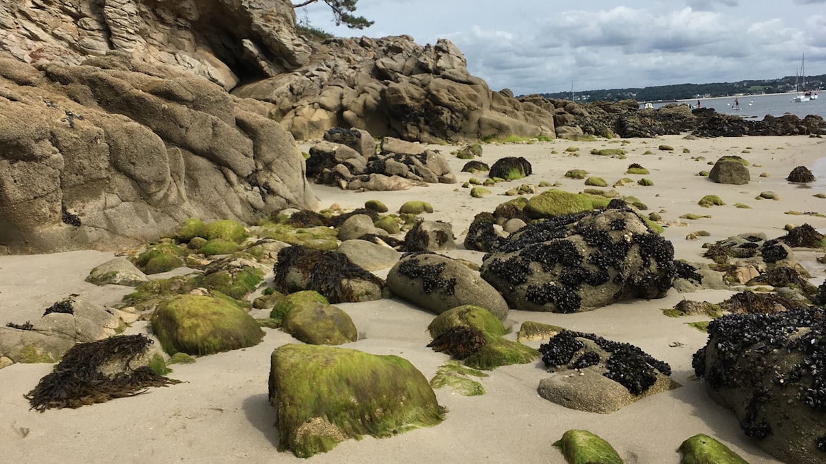 Référencement local en Bretagne : la stratégie qui marche