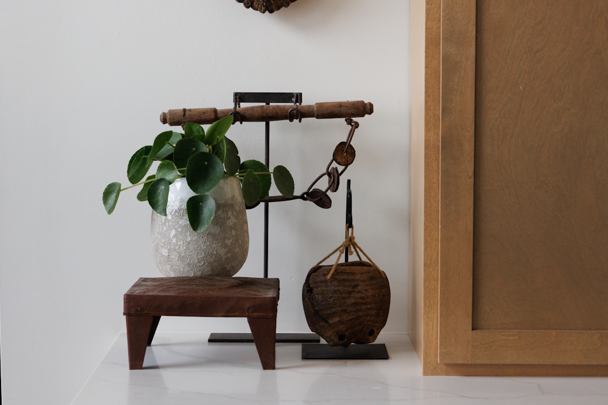 Cache-pot et plante — atelier Maison Terra